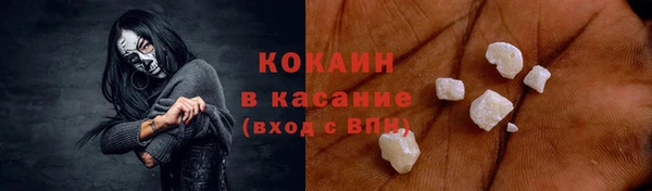 крисы Абаза