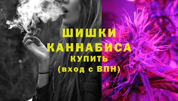 крисы Абаза