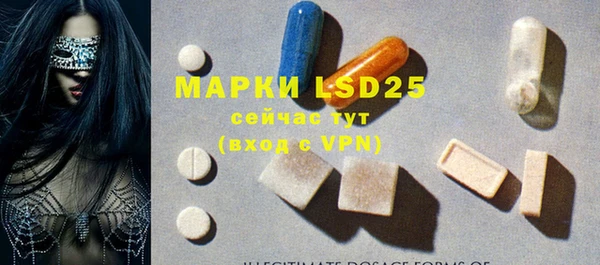 крисы Абаза