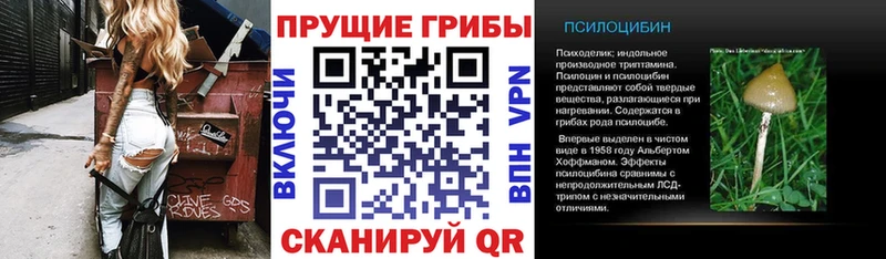 Галлюциногенные грибы MAGIC MUSHROOMS  Одинцово 